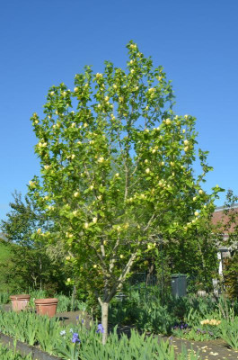 D6186.JPG