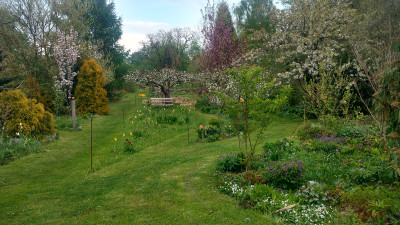 2021-05-11 Gartenimpressionen 1.jpg