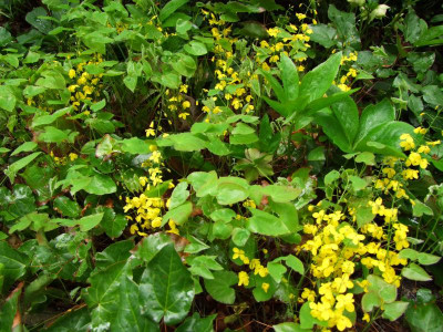 2021_020911Mai210069.JPG