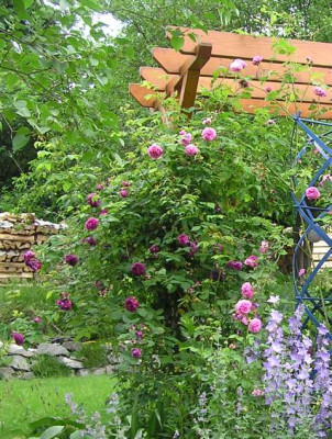 Erinnerung_an_Brod_2007.jpg