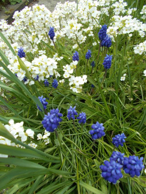 DSCN2848_Buntes_Allerlei.jpg