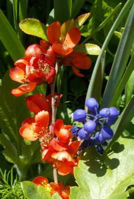 DSCN2882_Buntes_Allerlei.jpg