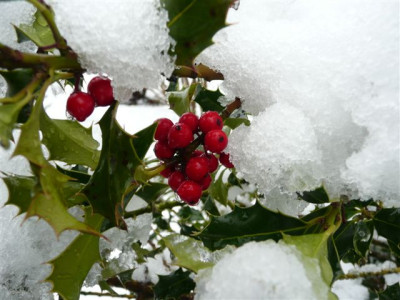 15.12.2007.3.JPG