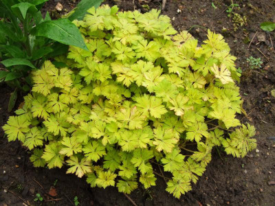 2021_020911Mai210024.jpg
