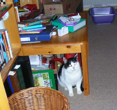 oskar2.jpg