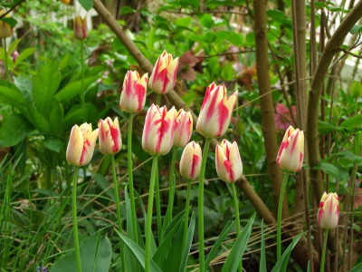 2021_020911Mai210062.JPG