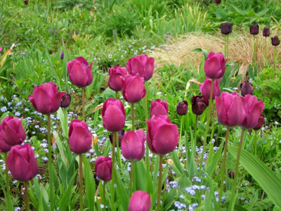 2021_020911Mai210090.JPG