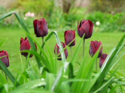 2021_020911Mai210109.JPG