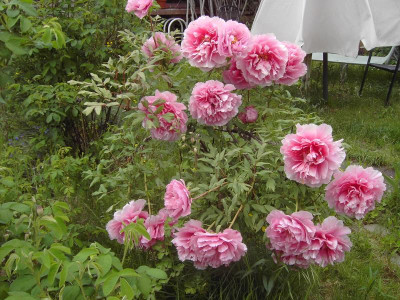 PICT3299.JPG
