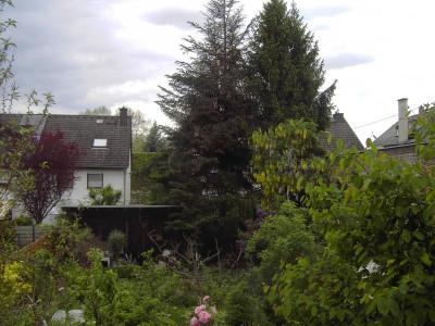 PICT3305.JPG