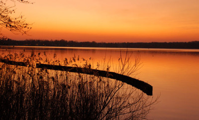 Havel-Jungfernsee-Sonnenuntergang.jpg