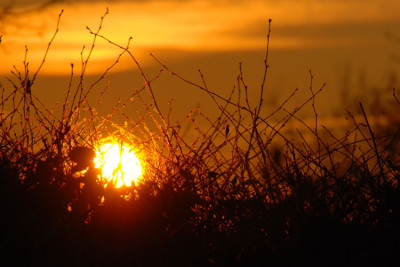 Sonnenaufgang-16-12-07-k.jpg