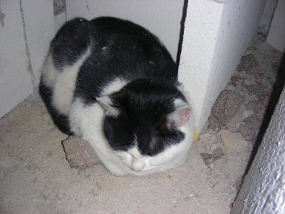 oskar3.jpg