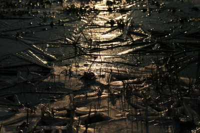 Eisbild-Donau-unterbelichte.jpg