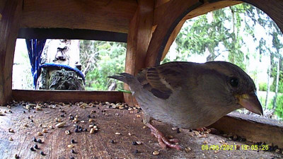 DSCF0103.JPG