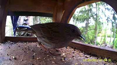 DSCF0390.JPG