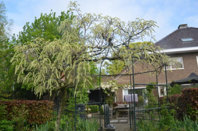 D6224.JPG
