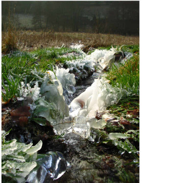 Spaziergang_18.12.07_Wieseneis_3.jpg