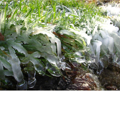 Spaziergang_18.12.07_Wieseneis_2.jpg