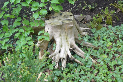 Offene Gärten 2742.jpg