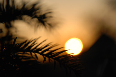 weihnachtlicher_Sonnenuntergang.jpg