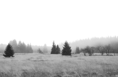 Venn_4_sw_17-12-2006.jpg