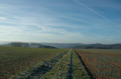 Wege_3_16-12-2007.jpg