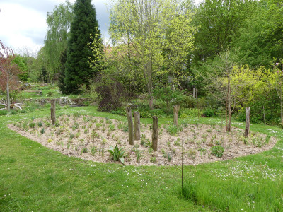 2021-05-16 Garteneinblick 1.jpg