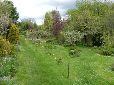 2021-05-16 Garteneinblick 2.jpg