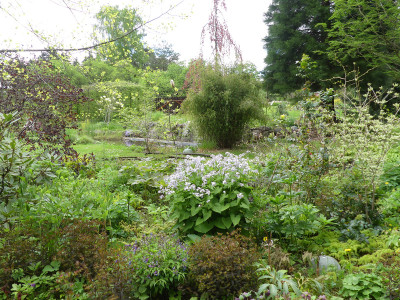 2021-05-16 Garteneinblick 3.jpg