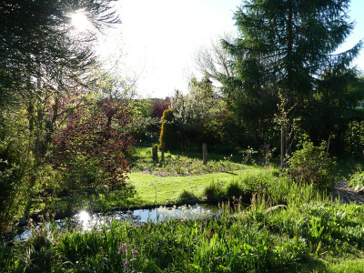 2021-05-16 Garteneinblick 4.jpg