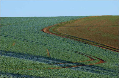 Wege_4_16-12-2007.jpg