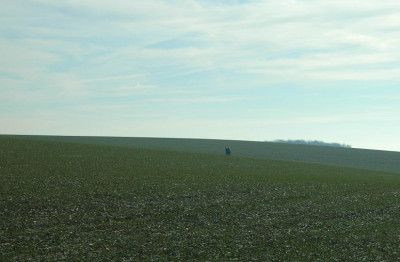 Wege_5_16-12-2007.jpg
