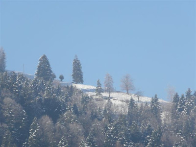 20.12.2007.2.JPG