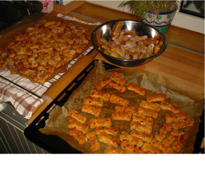 Hundeplazkes_2.jpg