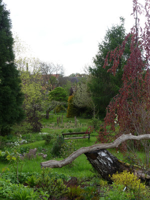 2021-05-17 Garteneinblick 4.jpg