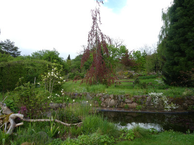 2021-05-17 Garteneinblick 3.jpg