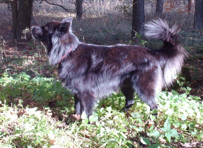 2006_a.jpg