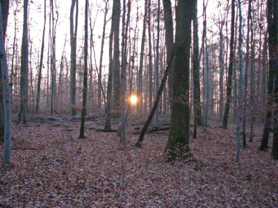 SUNRISE_DO_201207.jpg