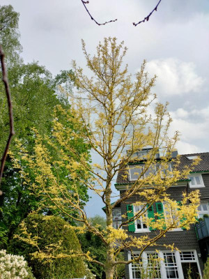 IMG20210518174829.jpg