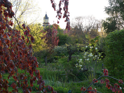 2021-05-18 Gartenimpressionen 4.jpg