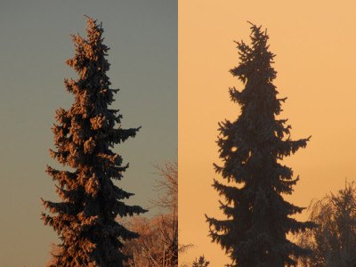 Weihnachtsbaum-k.jpg