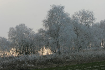 Dezember_2007IMG_1694jpg.jpg