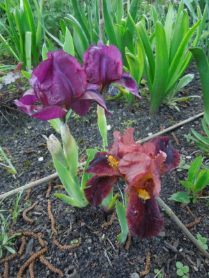 DSCN9007.JPG