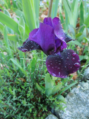 DSCN9010.JPG