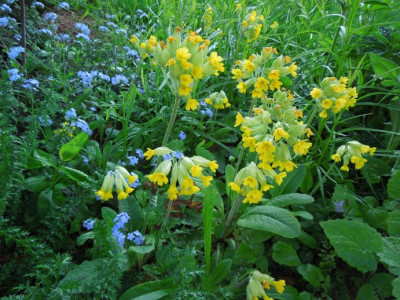 DSCN9011.JPG