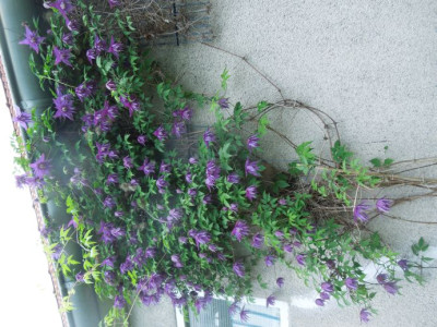 DSCN9002.JPG