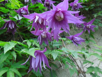 DSCN9004.JPG