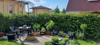 20210520_170015.jpg