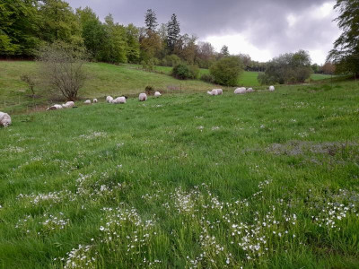 kreuzweg21.jpg